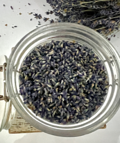 Alternative view of Culinary Lavender