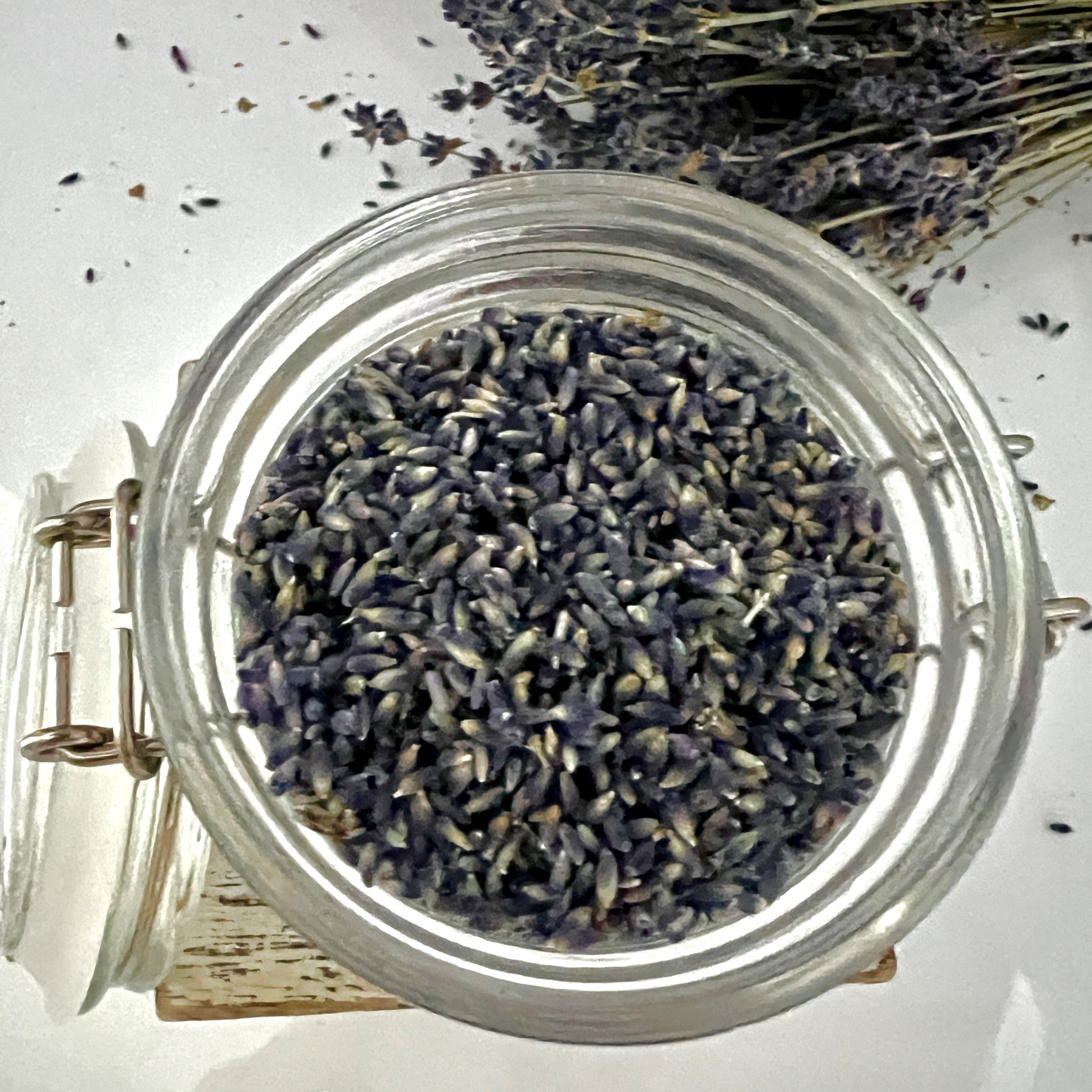 Culinary Lavender - Image 2