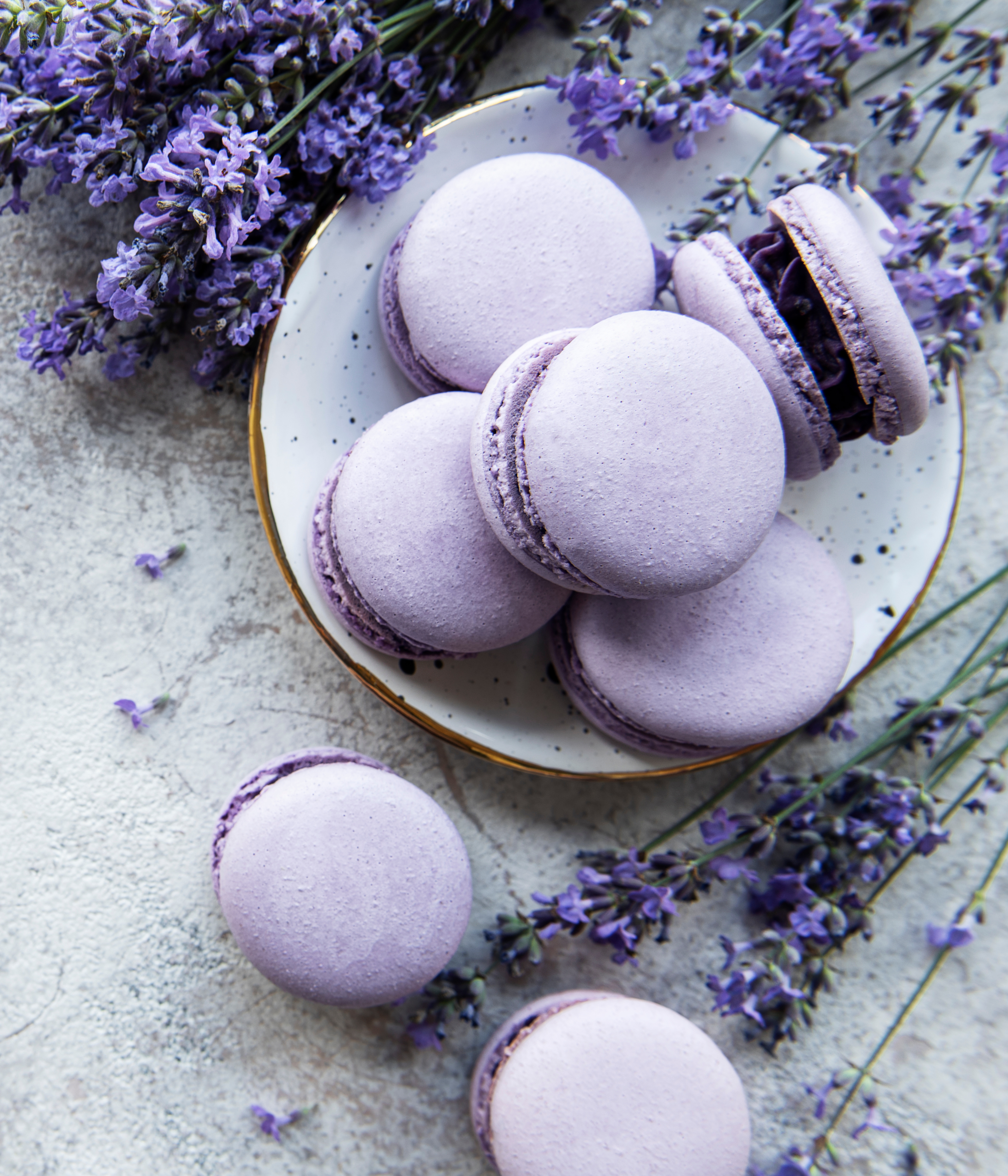 Culinary Lavender - Image 3